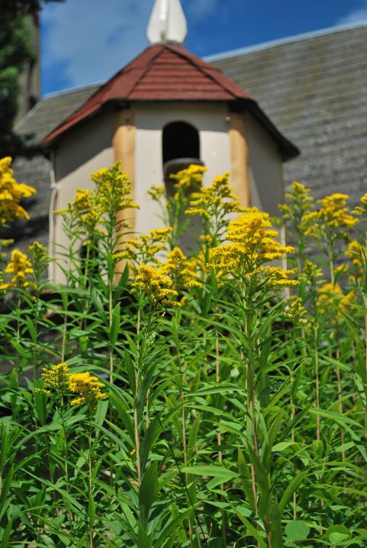 Camping Les Tournesols Sillé-le-Guillaume Exterior foto